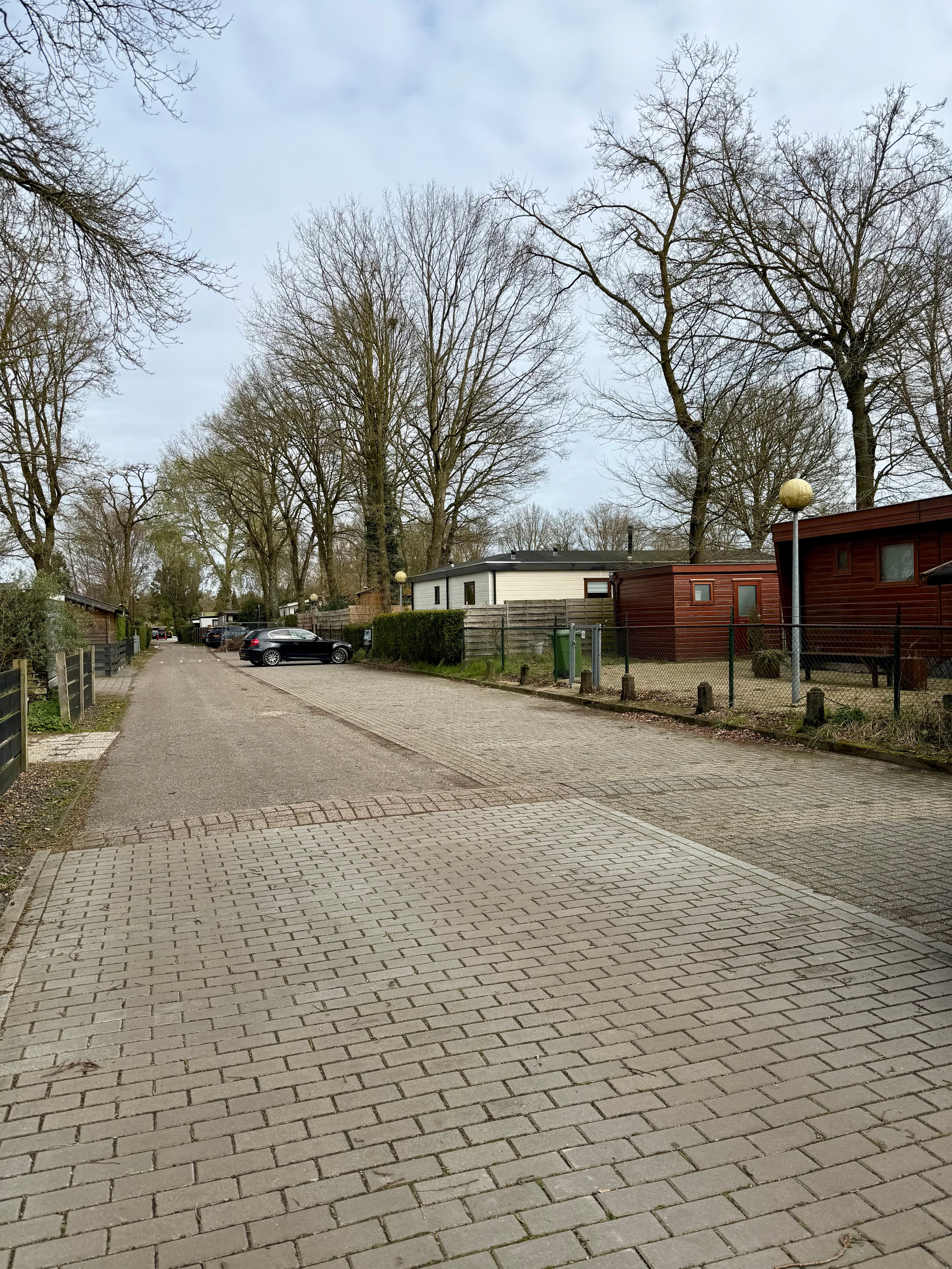 Bosrijke omgeving rondom het huisje